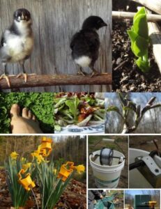 DIY Electric Fence Wire Holder Image